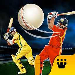 世界板球冠军汉化版(Cricket Champs)