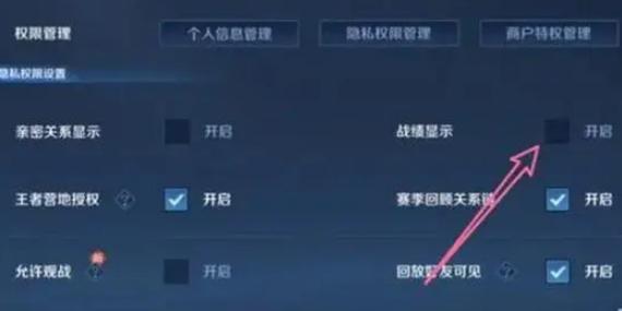 王者荣耀怎么隐藏常用英雄战绩，王者荣耀怎么隐藏常用英雄战绩显示