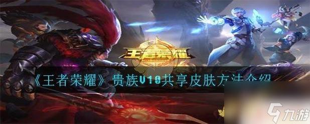 王者荣耀怎么查皮肤的获取记录?