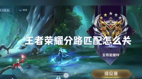 王者荣耀排位打字如何出分路几段?