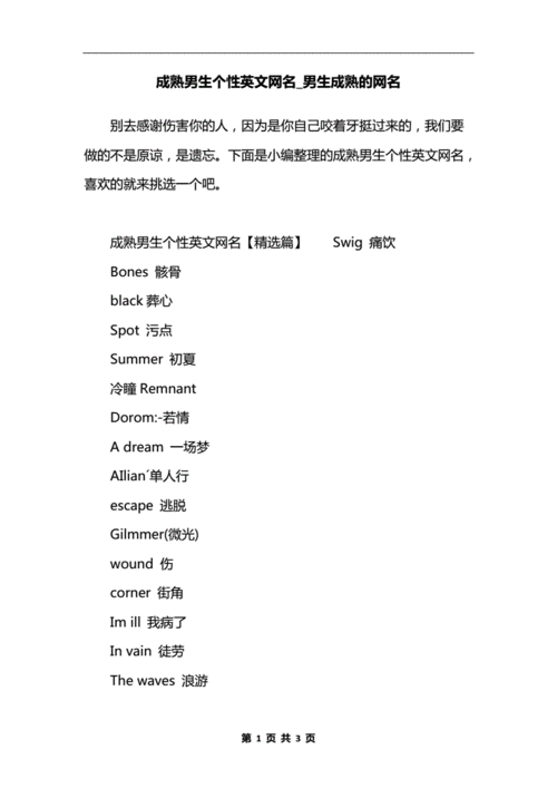 超拽霸气欧美英文男生网名大全