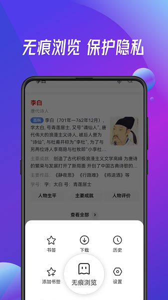 大字浏览器app下载