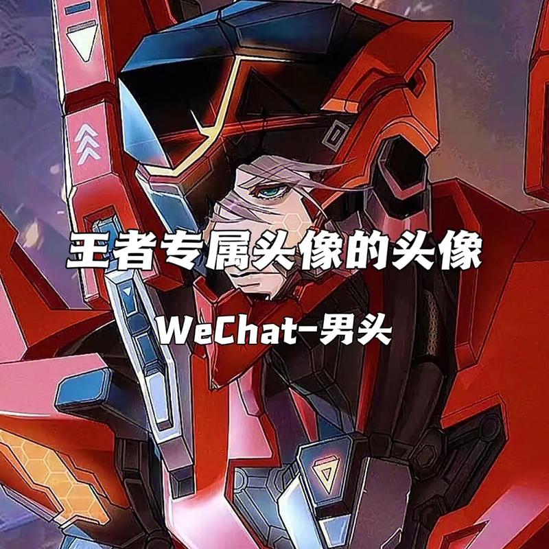 王者荣耀不显示对方的头像原因