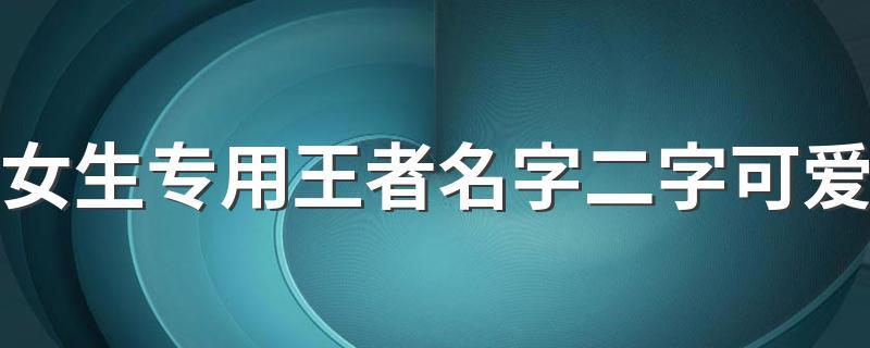 女生专用王者名字二字可爱两个字的简单游戏名字