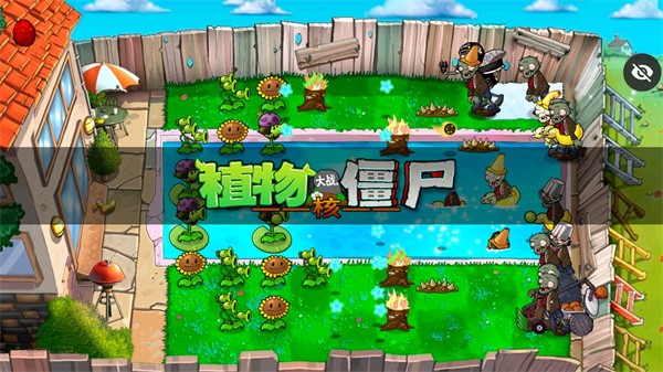 pvz核版