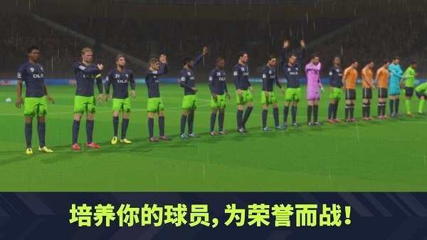 梦幻联盟足球2024中文版下载