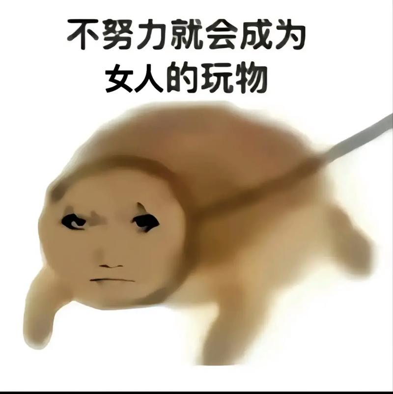 王者荣耀中很多人不愿意带妹,真的只是因为女生技术菜吗?