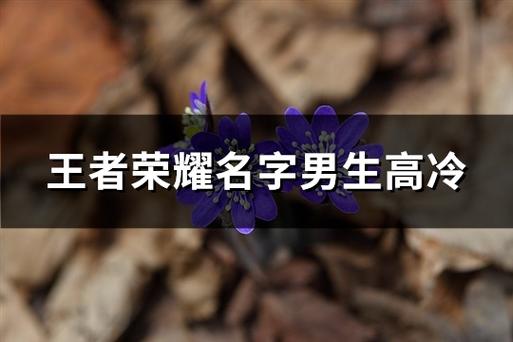 王者荣耀男的名字高冷霸气