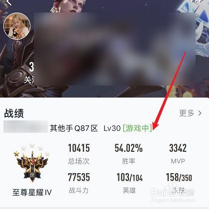 王者荣耀好友隐藏战绩后怎么查看