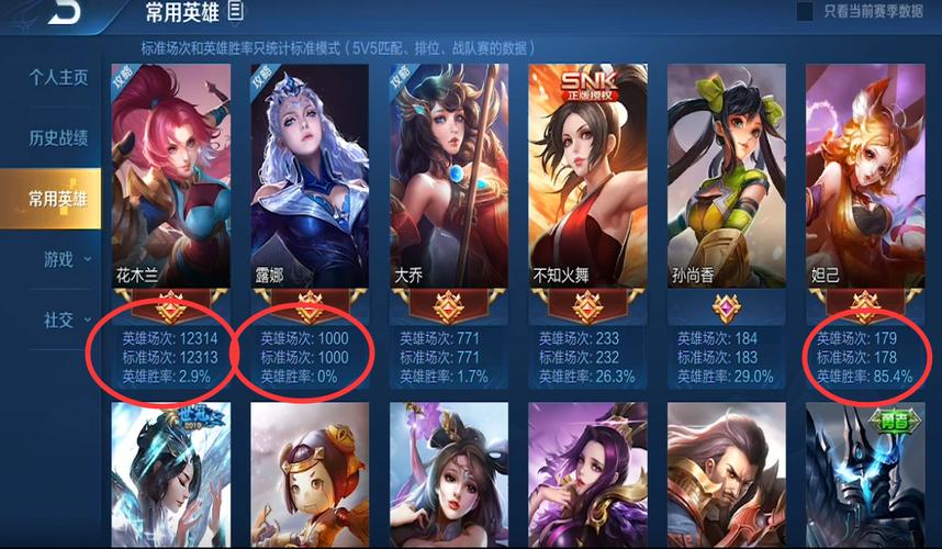 王者荣耀玩花木兰用的名字