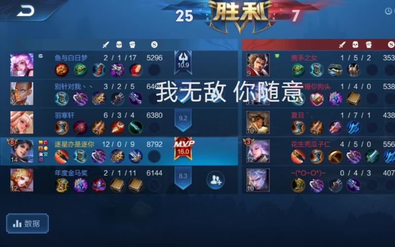 王者能回看对局的聊天吗