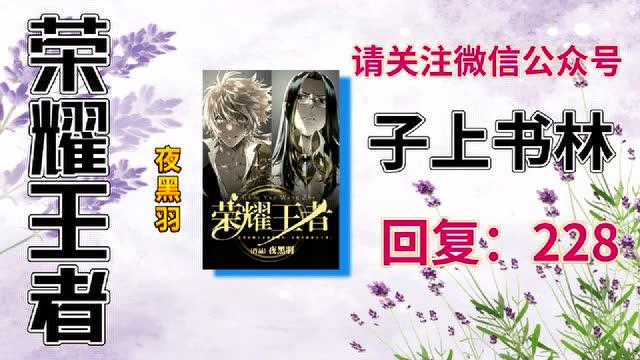 王者荣耀小说苏哲是谁啊？王者荣耀小说苏哲是谁啊？